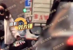 罗芳爆料李易峰了吗视频,视频爆料真相大白
