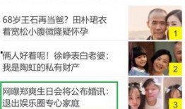 娱乐圈爆料水印是什么,揭秘明星八卦背后的秘密生成技术