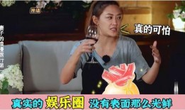 娱乐圈内幕爆料模板,揭秘明星背后的惊人内幕！